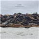 Carta - The Sand Collector's Dream